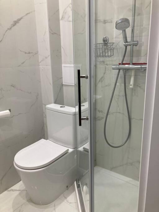 Apartment Spacious In Heart Of Warschau